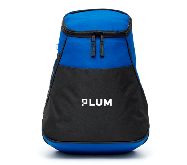 Cooler Bag